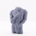 see more listings in the BODY / Torso Molds section