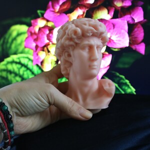 May include: A light peach-colored bust of David, a classical sculpture, is held in front of a floral background. The bust features detailed facial features and curly hair. The sculpture is a decorative item.