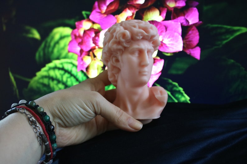 May include: A light peach-colored bust of David, a classical sculpture, is held in front of a floral background. The bust features detailed facial features and curly hair. The sculpture is a decorative item.