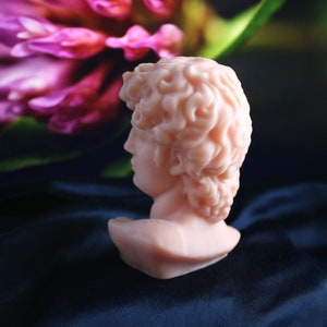 May include: A light pink bust of a classical figure, likely a sculpture, with detailed curly hair and facial features. The bust is set against a dark blue, possibly satin, background with a blurred pink flower.
