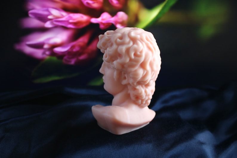 May include: A light pink bust of a classical figure, likely a sculpture, with detailed curly hair and facial features. The bust is set against a dark blue, possibly satin, background with a blurred pink flower.