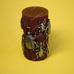 Pu&ograve; includere: Una candela cilindrica marrone scuro con abbellimenti di insetti color bronzo. La candela ha una parte superiore liscia e arrotondata ed &egrave; decorata con vari disegni dettagliati di scarabei e insetti. Lo sfondo &egrave; giallo pieno.