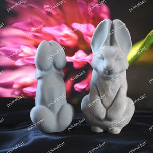 Funny Bunny 10cm 3D Silicone Mold for making candles, resin,soap, funny mold, rabbit, bachelorette party image 5