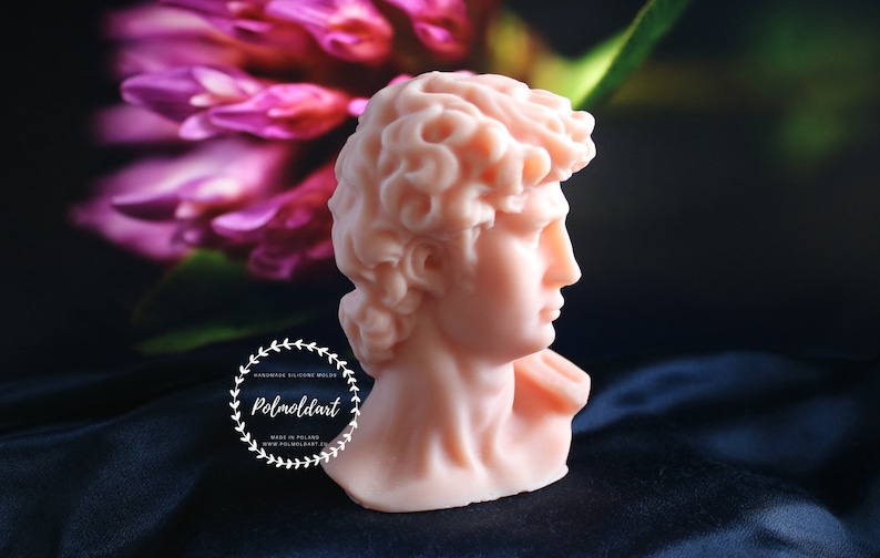 May include: A light peach-colored bust of David, a classical sculpture, is featured in profile. The sculpture has detailed curly hair and is set against a dark background with blurred pink flowers. The logo "Polmoldart" is visible.