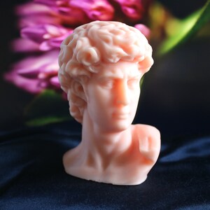 May include: A light peach-colored bust of David, a classical sculpture, is the focal point. The bust is set against a dark background with blurred pink and green floral elements. The sculpture's details are finely rendered.