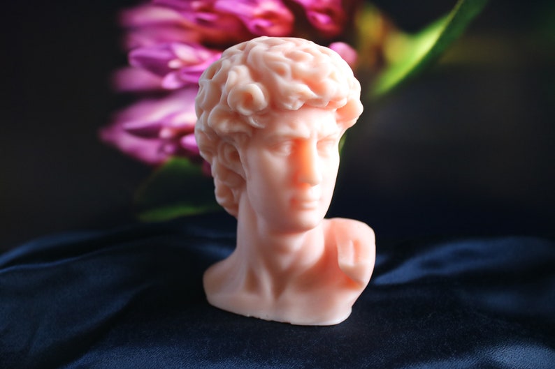 May include: A light peach-colored bust of David, a classical sculpture, is the focal point. The bust is set against a dark background with blurred pink and green floral elements. The sculpture's details are finely rendered.