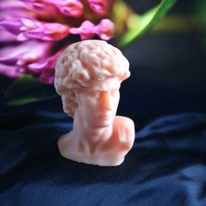 May include: A light peach-colored bust of David, a classical sculpture, sits on a dark blue fabric. The sculpture is in sharp focus, with details of the hair and facial features visible. Pink flowers are blurred in the background.
