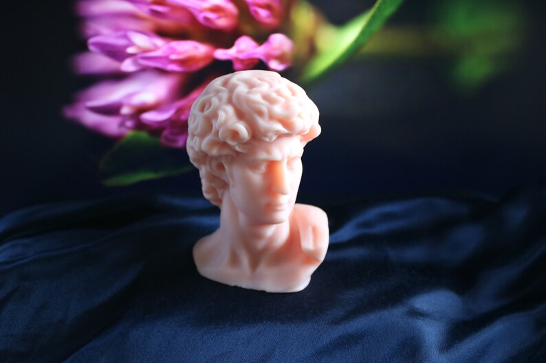 May include: A light peach-colored bust of David, a classical sculpture, sits on a dark blue fabric. The sculpture is in sharp focus, with details of the hair and facial features visible. Pink flowers are blurred in the background.