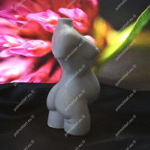 May include: A light grey, sculpted torso figurine. The form depicts a female figure with defined breasts and a rounded abdomen. The background features a blurred floral pattern in shades of pink and green, with the website address "polmoldart.eu" repeated.