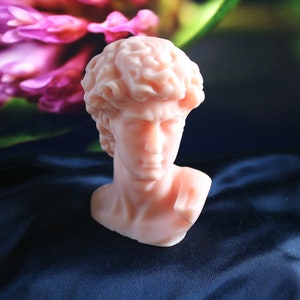 May include: A light pink bust of David, a classical sculpture, sits on a dark blue satin surface. The sculpture's details are visible, with defined facial features and curly hair. A blurred background features pink and green floral elements.
