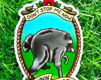 Jimothy , Raccoon Sticker
