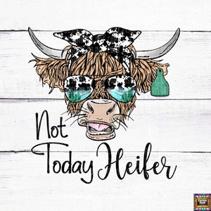 Not today Heifer, Long Haired Cow, Farm, Barn, Cow, cowhide, desert, western, cactus, farm animals, turquoise, digital download png jpeg