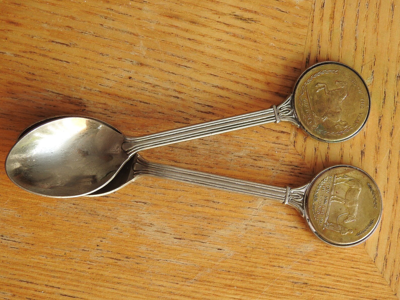 Commemorative Horse of the Year Spoons Sefton Horse Equine Etsy