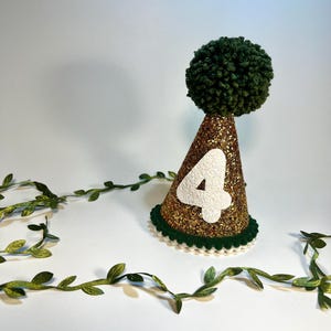Wild One Birthday Hat, Green Birthday Hat, Dog Birthday Hat, Gold Birthday Party Hat, Accessories, Personalized Birthday Hat for Dogs,