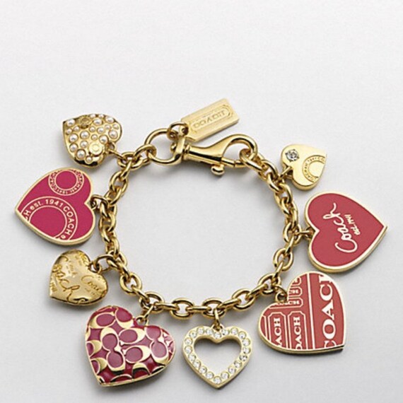 coach men's moto jacket