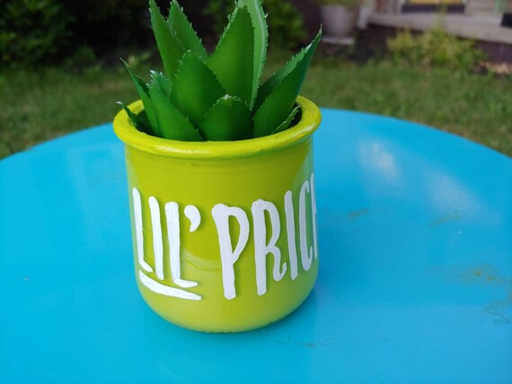 Lil Prick succulent planteroffice decor