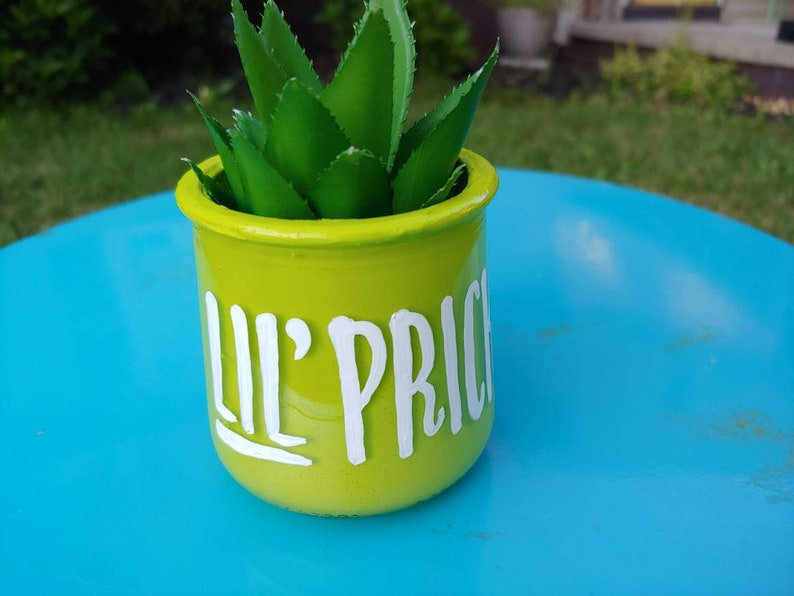 Lil Prick succulent planteroffice decor