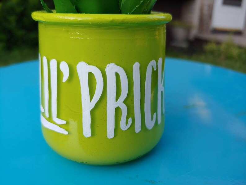 Lil Prick succulent planteroffice decor