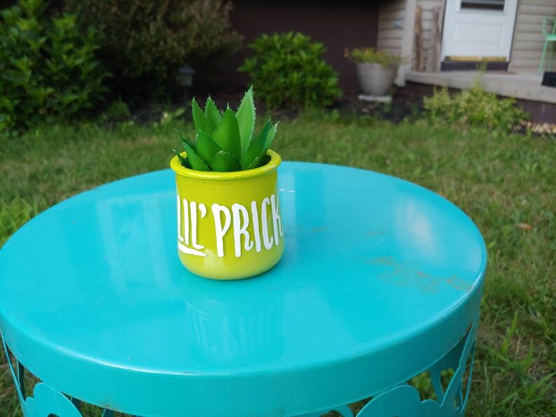 Lil Prick succulent planteroffice decor