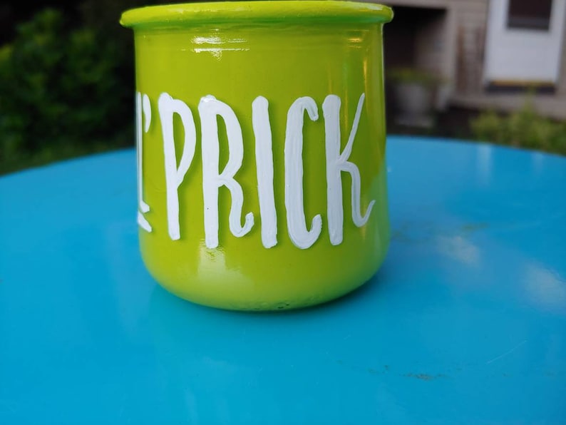 Lil Prick succulent planteroffice decor
