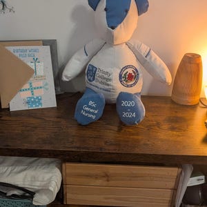 May include: A stuffed bear made from white and blue fabric. The chest features the Trinity College Dublin logo and text. The left foot is embroidered with "BSc General Nursing" and the right foot displays the years "2020 - 2024" in white text.