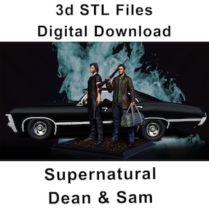 Dean and Sam Winchester from Supernatural 3D Print Model, Stl files for 3D Printers, Digital File, Best Gift, Character Art, Digital File
