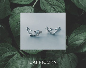 Capricorn star sign Earrings, constellation silver stud earrings gift for her, valentines  gifts for her, personalised gift for her