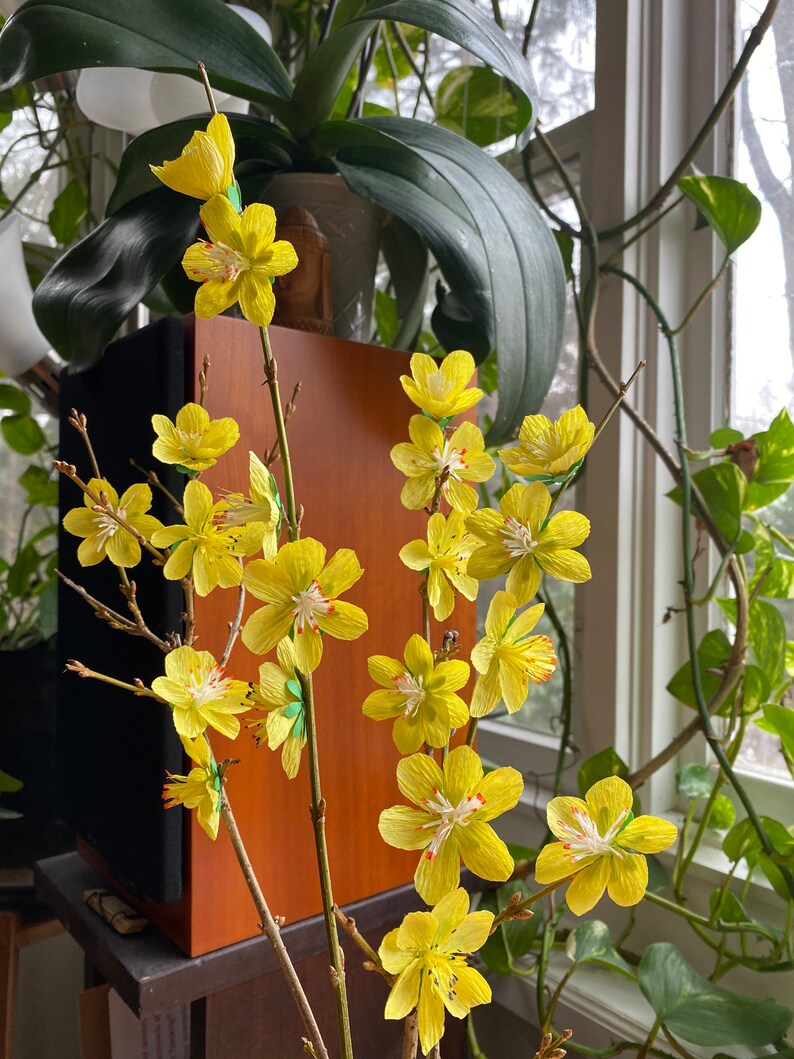 Yellow Cherry Blossom Stem Lunar New Year Flowers Hoa Mai Etsy