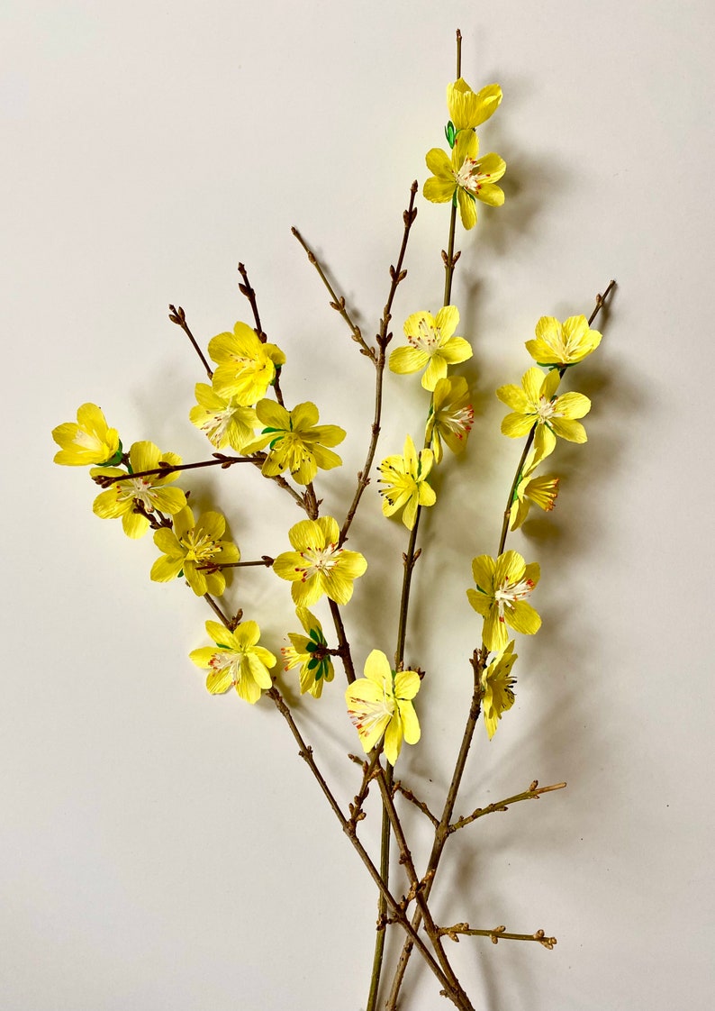 Yellow Cherry Blossom Stem Lunar New Year Flowers Hoa Mai Etsy
