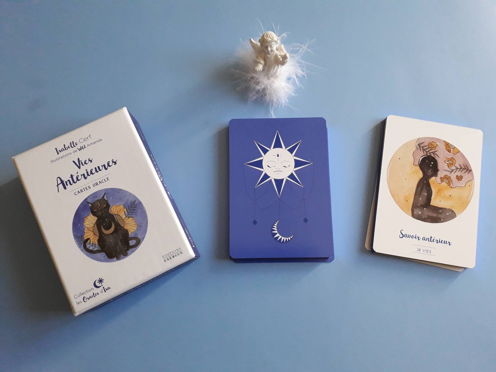 Combien de Vies Antérieures Avez Vous Eu? Réponse Dans La Journée.