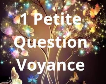 1 Petite Question Voyance
