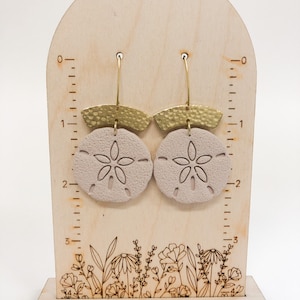 Sand Dollar