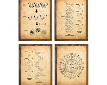 Vintage DNA and RNA Genetic Code Set Dna Wall Decor Rna Art Science Wall Art Biology Artworks Chemistry Genetic Code 8x10 inc Print Set