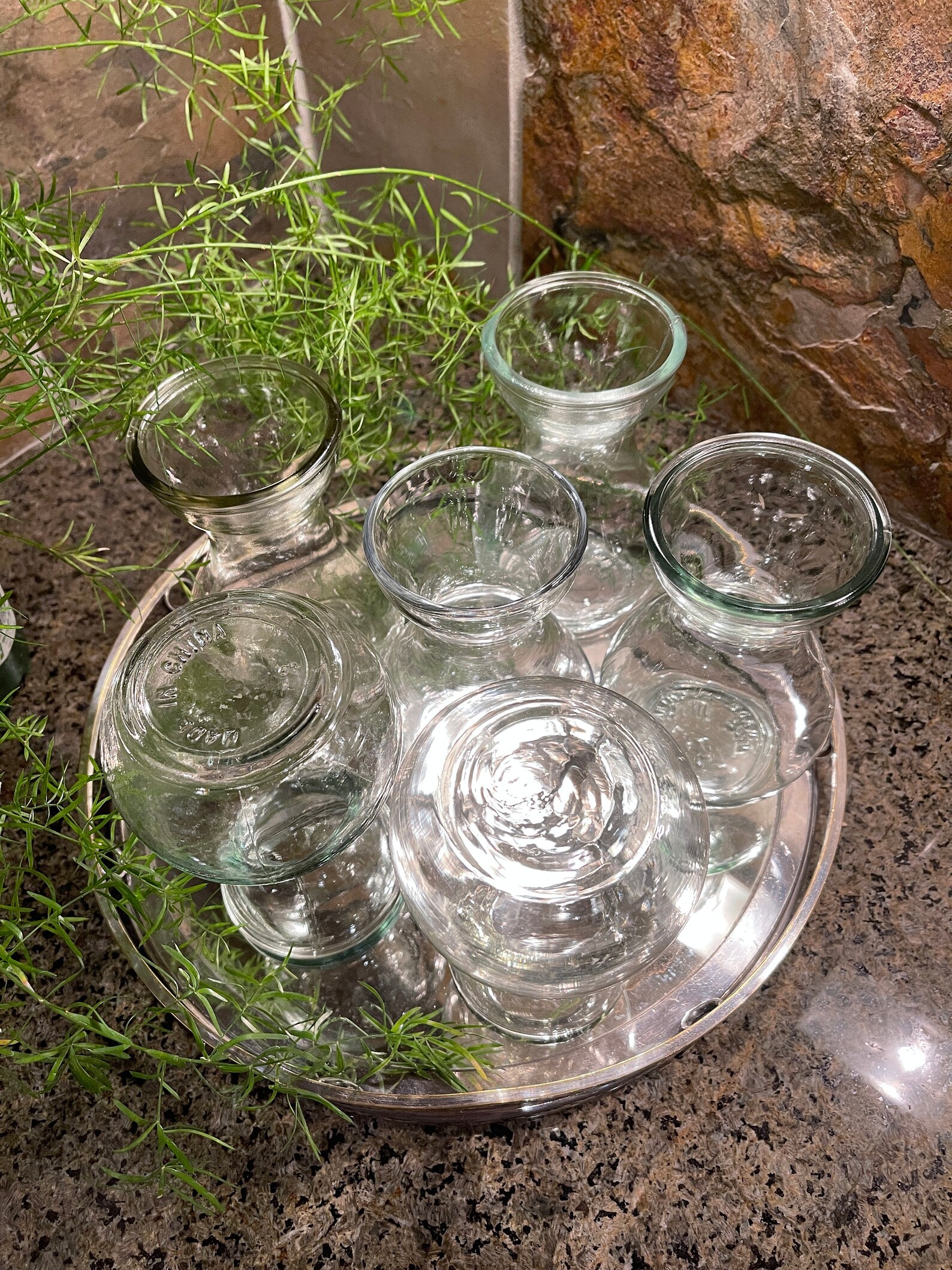 Basic Bulb Forcing Vase Hyacinth Bulb Vase Etsy