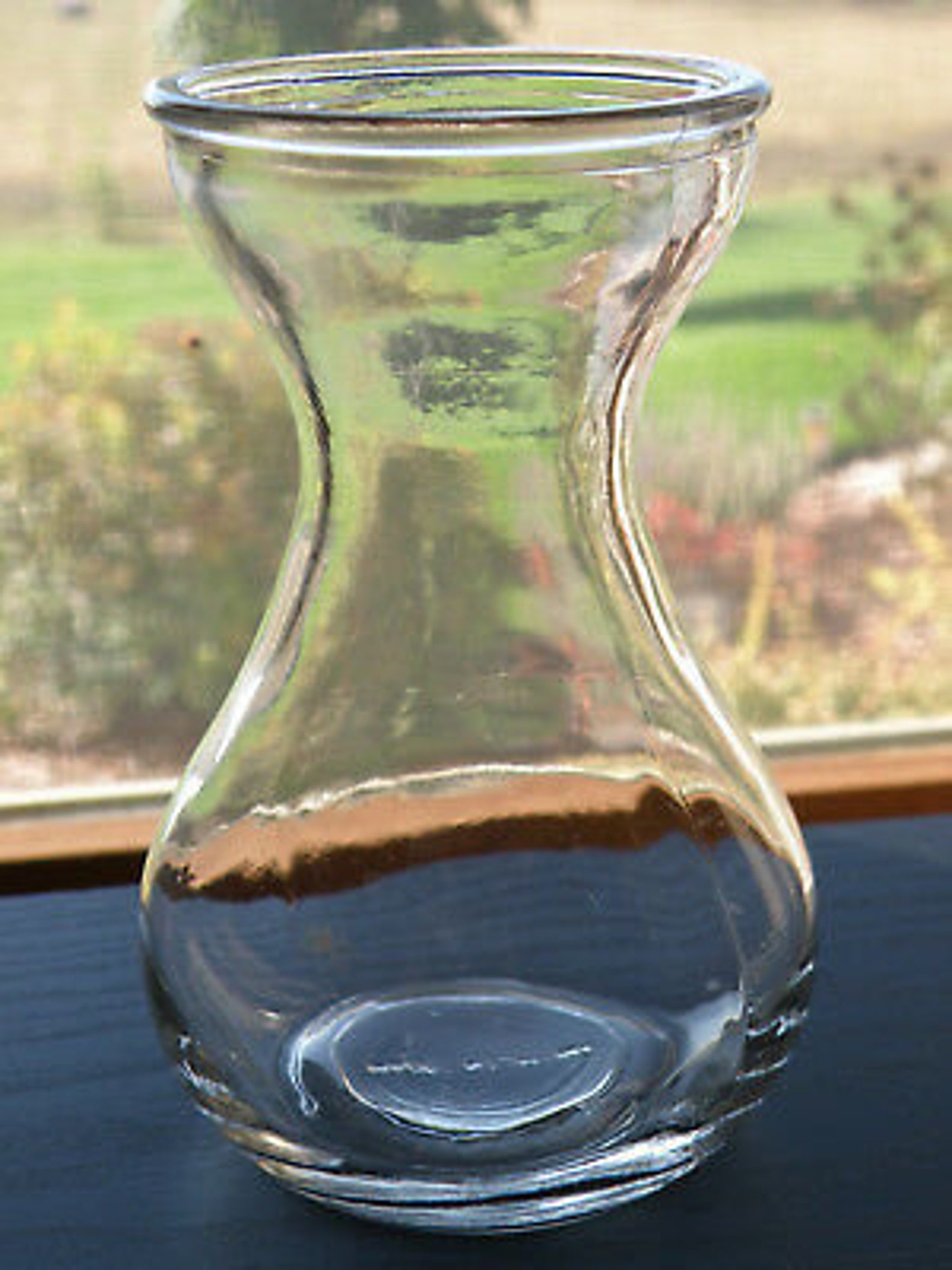 Basic Bulb Forcing Vase Hyacinth Bulb Vase Etsy