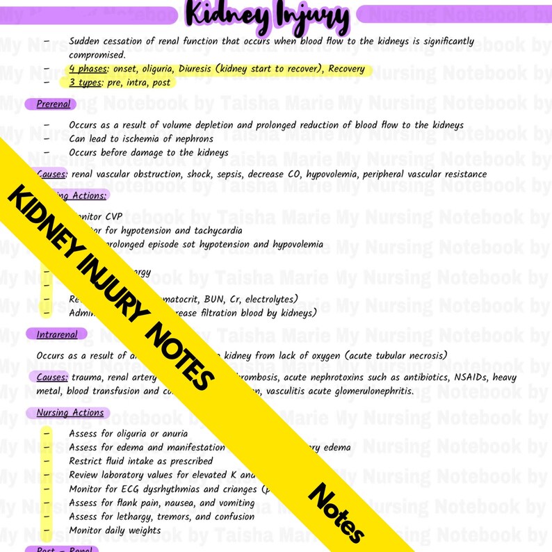 Nursing Notes Kidney Failure Nursing Study Guide PDF Etsy