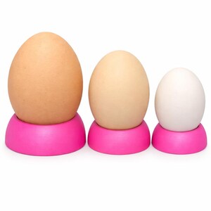 3D Printed Hatching Egg Holders (One Dozen!) – Reusable, Reliable, Game-Changing!