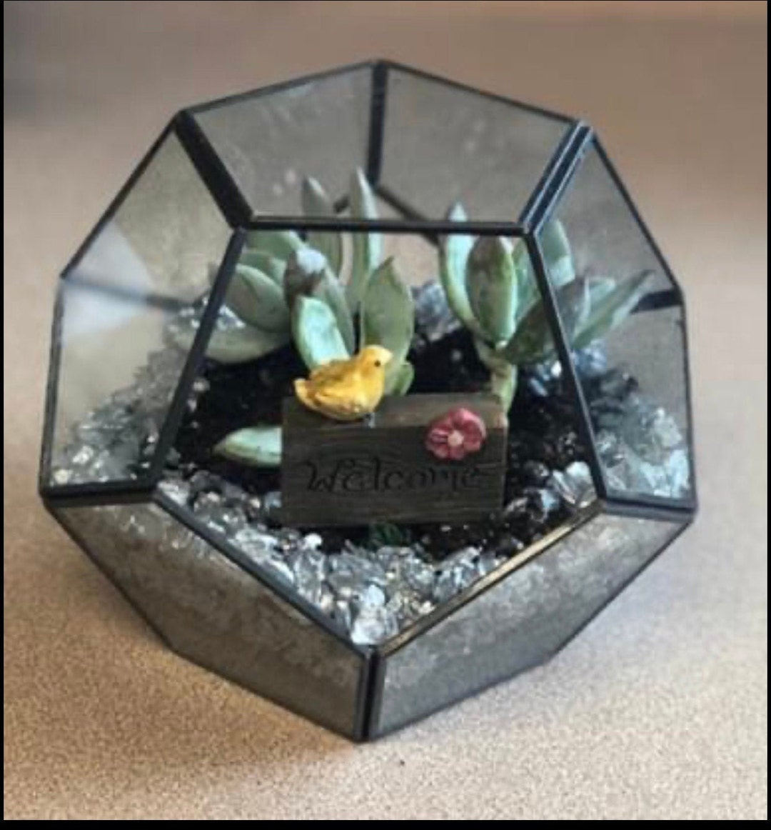 DIY Terrarium - Etsy