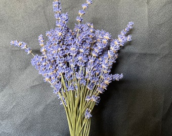 Op de afbeelding: Een bos gedroogde lavendelbloemen, gebonden met een bruin elastiekje. De lavendel is lichtpaars en de stelen zijn groen.