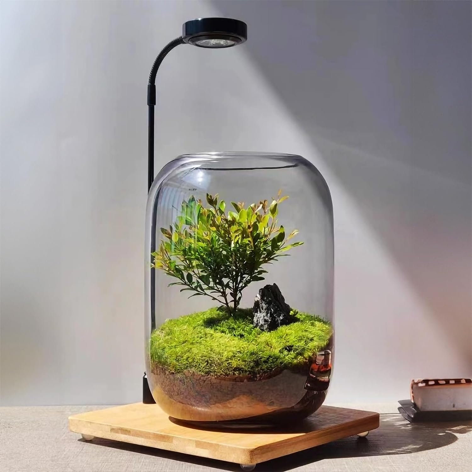 Glass Terrarium Air Plants Containers Office Home Beta Fish Bowl Micro