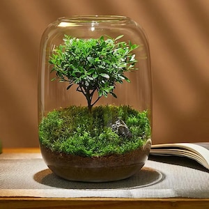 Borosilicate Glass Terrarium Jar: Modern Micro-Landscape Container