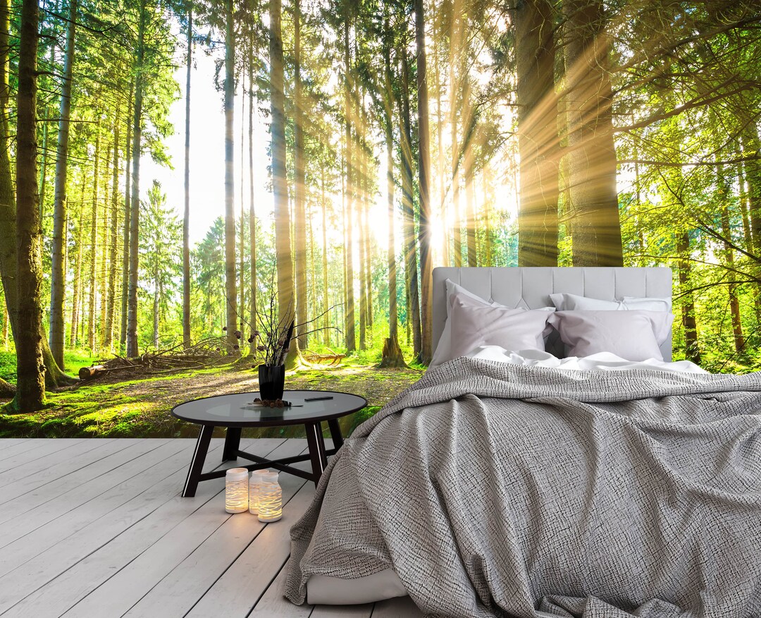 Forest Peel and Stick Wallpaper Sunrise Tree Enchanting Green Nature 3d
