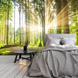 Forest Peel And Stick Wallpaper Sunrise Tree Enchanting Green Nature 3d Landscape  Removable Non Woven Self Adhesive Wall Mural