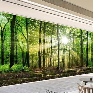 Forest Wallpaper Enchanting Birch Tree Nature 3d Landscape Peel And Stick Removable Non Woven Self Adhesive Wall Mural