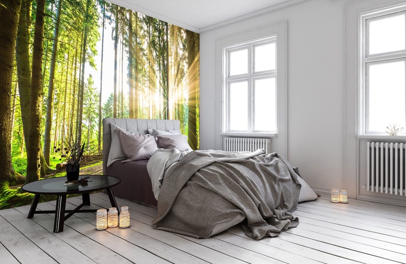 Forest Peel and Stick Wallpaper Sunrise Tree Enchanting Green - Etsy