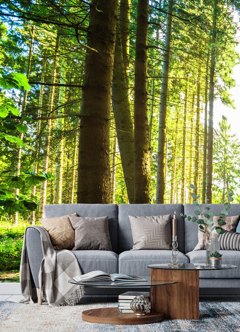 Forest Peel and Stick Wallpaper Sunrise Tree Enchanting Green - Etsy