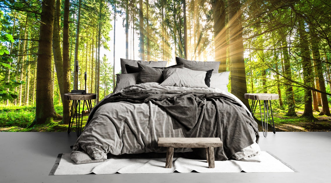 Forest Peel and Stick Wallpaper Sunrise Tree Enchanting Green - Etsy