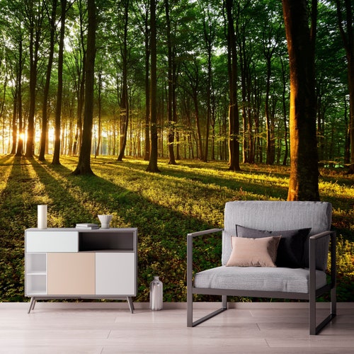 Landscape Wallpaper Peel and Stick Nature Wall Mural Etsy