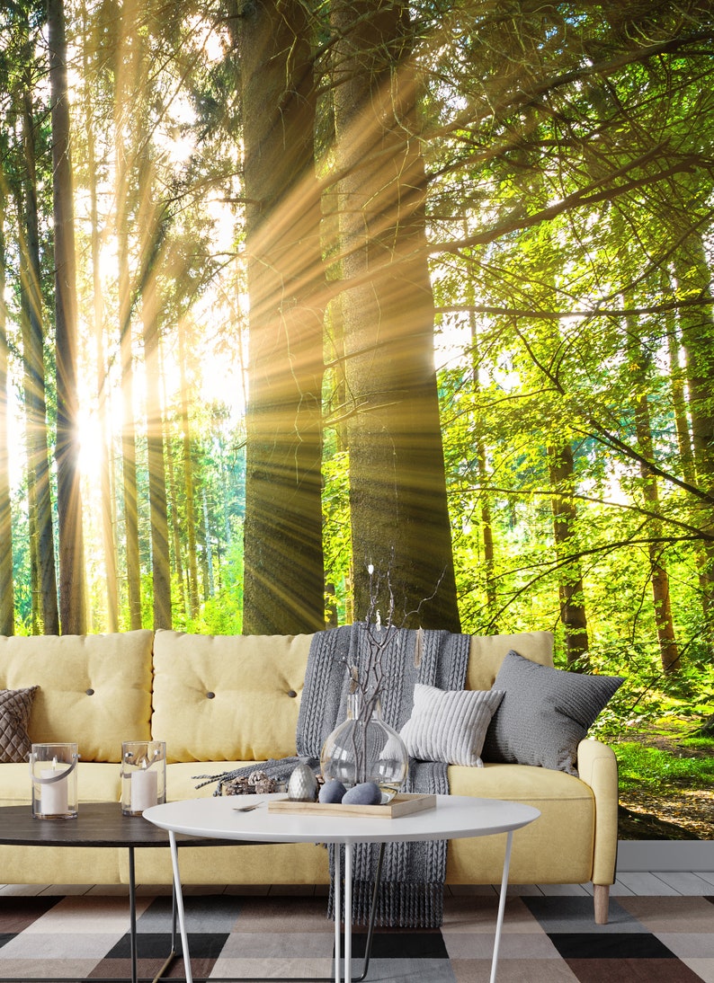 Forest Peel and Stick Wallpaper Sunrise Tree Enchanting Green - Etsy