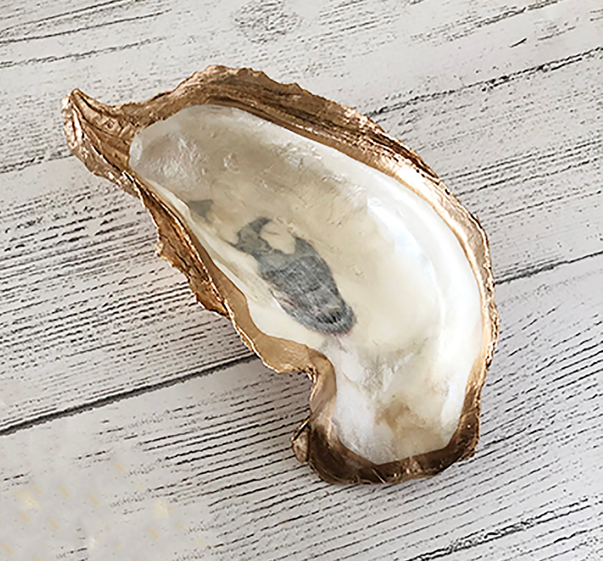 Oyster Shell Large Cup Jewelry Dish Trinket Dish Ring Etsy